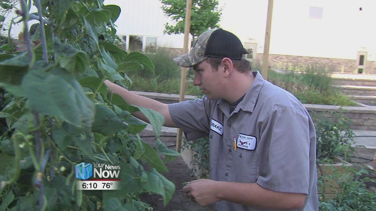 Vantage Career Center Community Garden 2.jpg